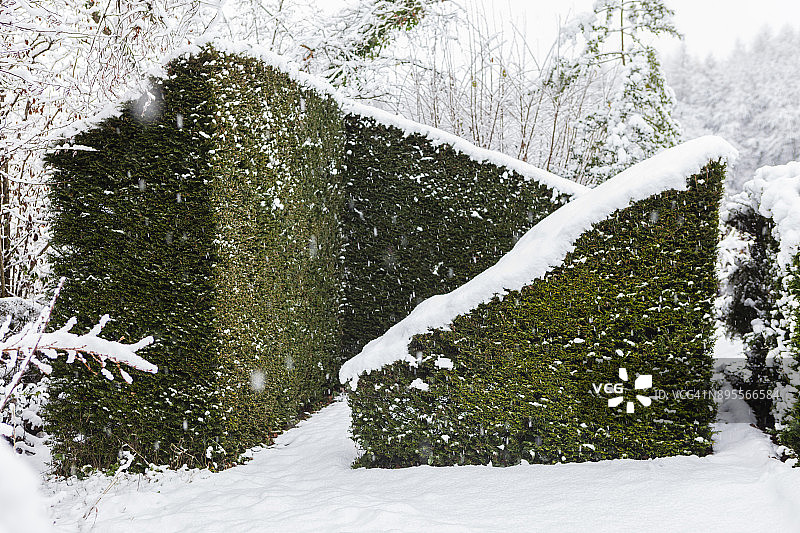 英国威尔士蒙茅斯郡Veddw住宅花园图片素材