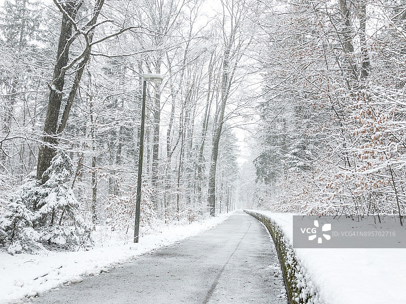 巴伐利亚的冬至图片素材