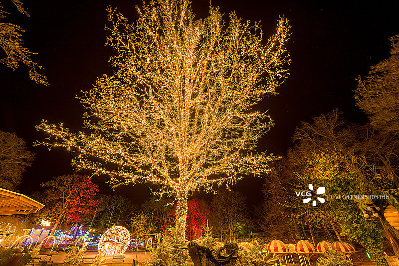 丹麦圣诞节图片素材
