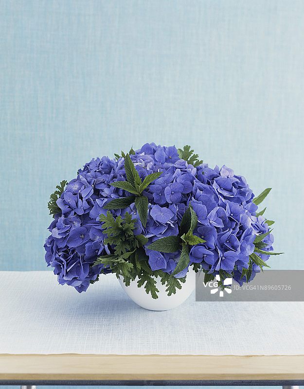 紫色绣球花和香叶天竺葵花瓶图片素材