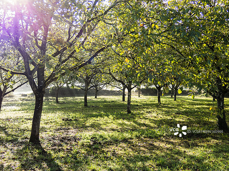 法国多尔多涅北部地区漫步图片素材