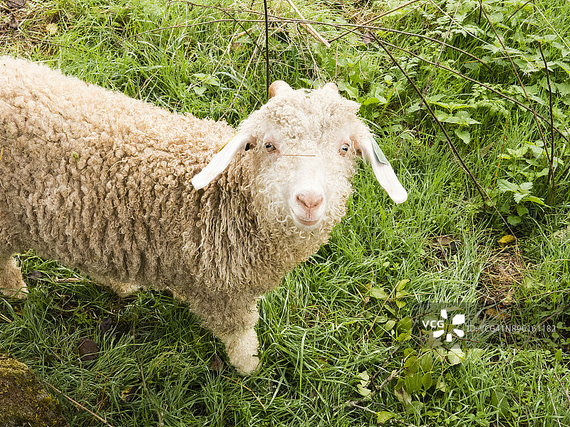 法国多尔多涅北部地区漫步图片素材