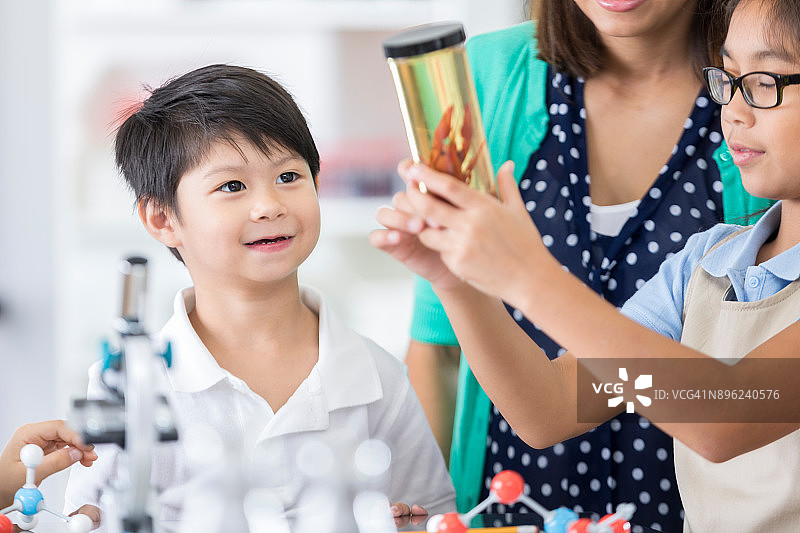 小学生观察标本容器中的小龙虾图片素材