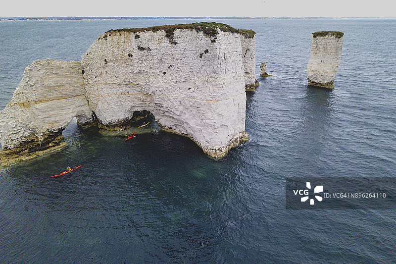 老哈利图片素材
