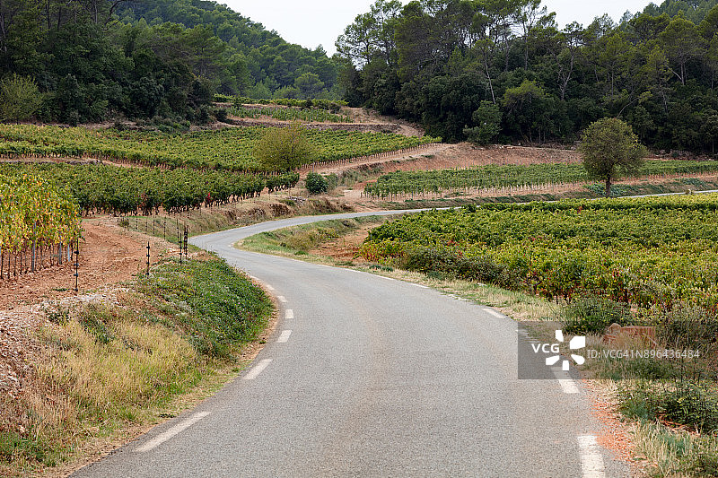 法国科蒂尼亚克附近普罗旺斯葡萄园的道路图片素材