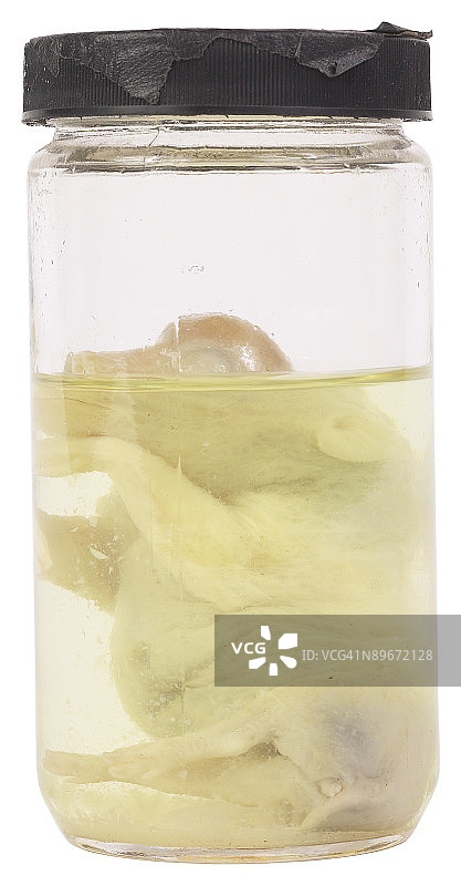 23578412图片素材