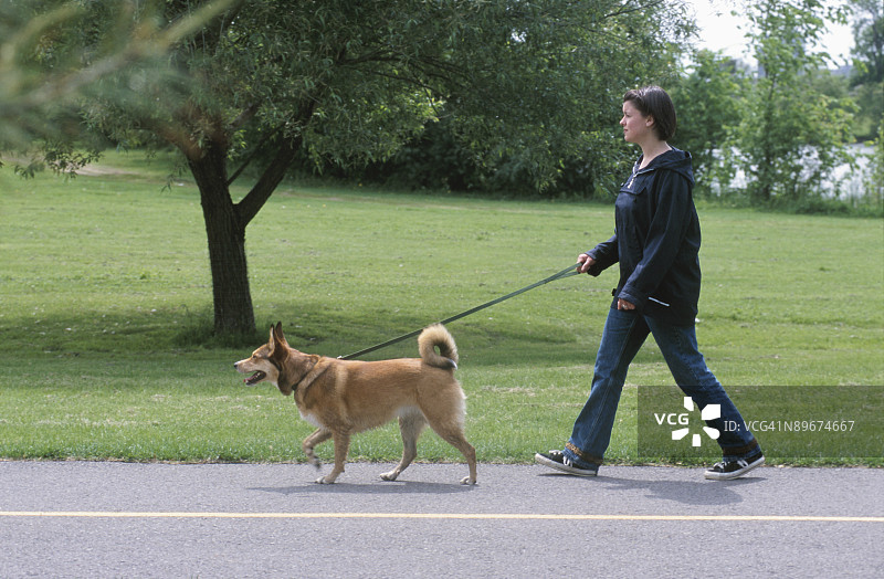 女人遛宠物狗图片素材