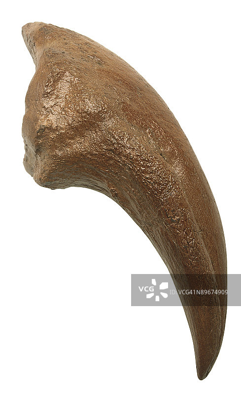 23538031图片素材