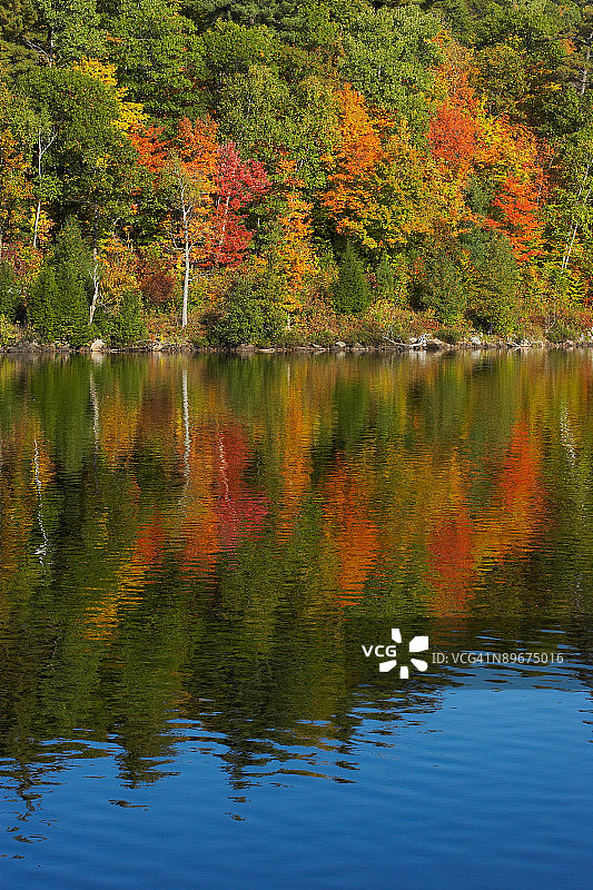 加拿大魁北克米奇湖秋树倒影图片素材