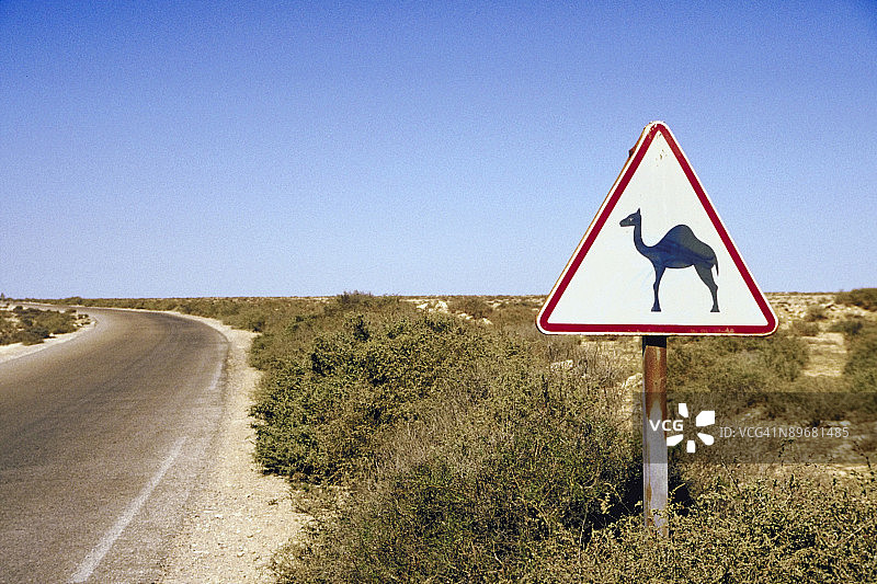 沙漠公路上的骆驼横穿标志图片素材