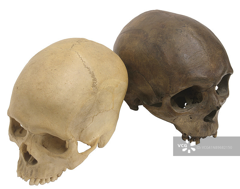 23539683图片素材