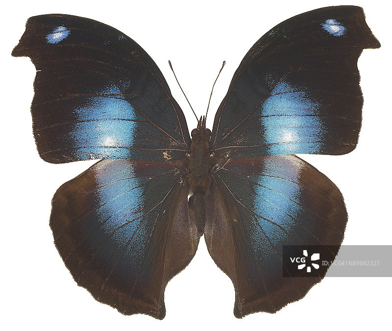 23643568图片素材