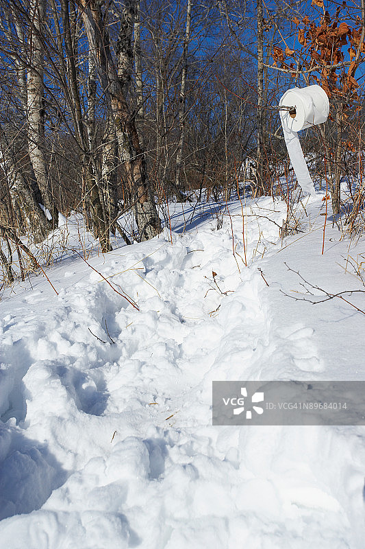 冬季树枝上的卫生纸卷图片素材