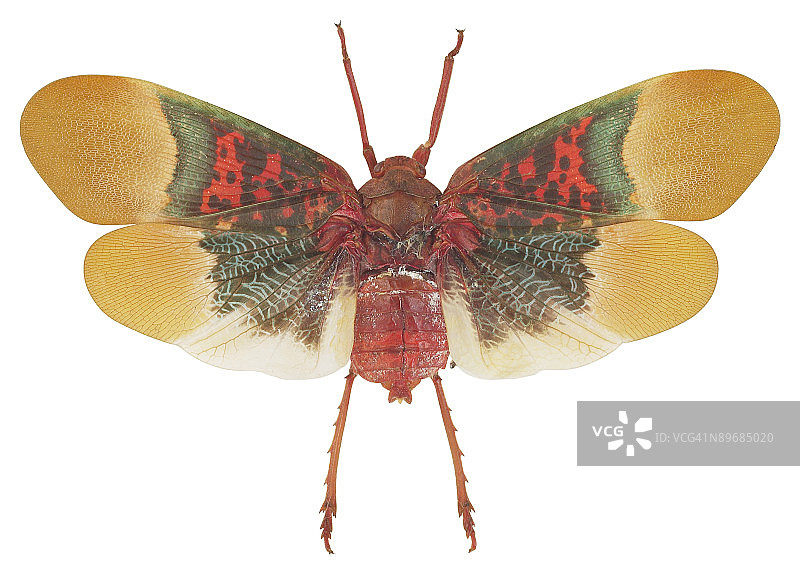 23643522图片素材