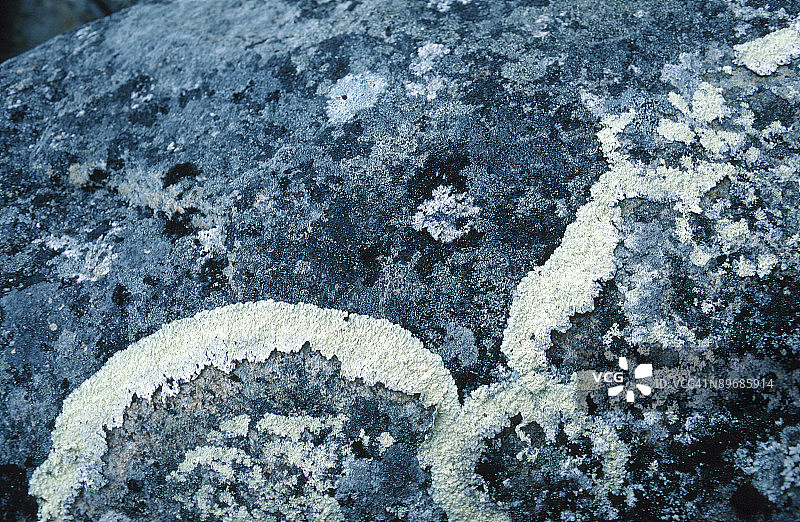 23936128图片素材