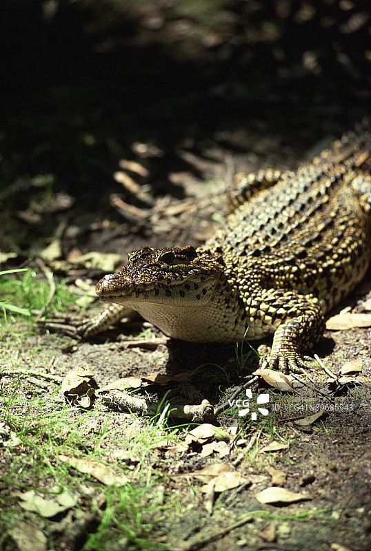 24019348图片素材