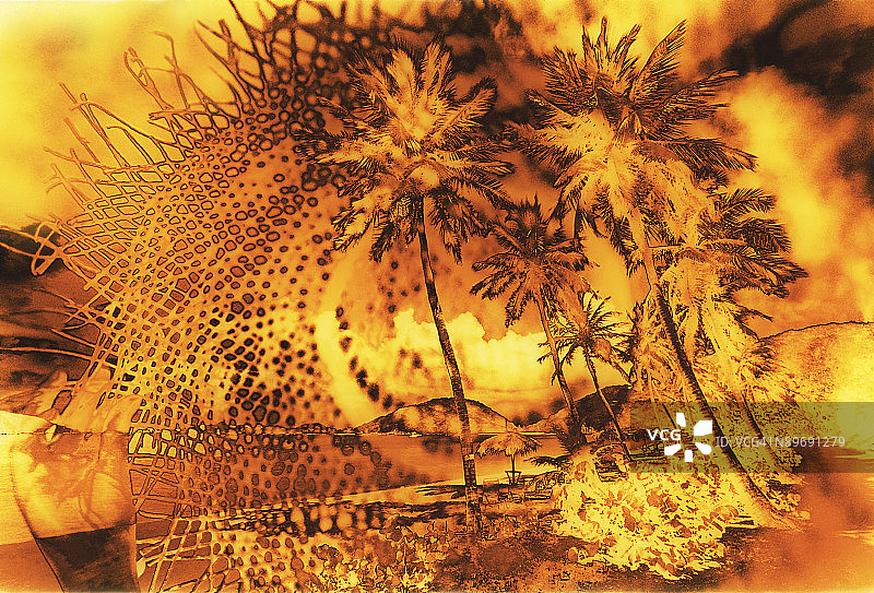 海滩上的棕榈树图片素材