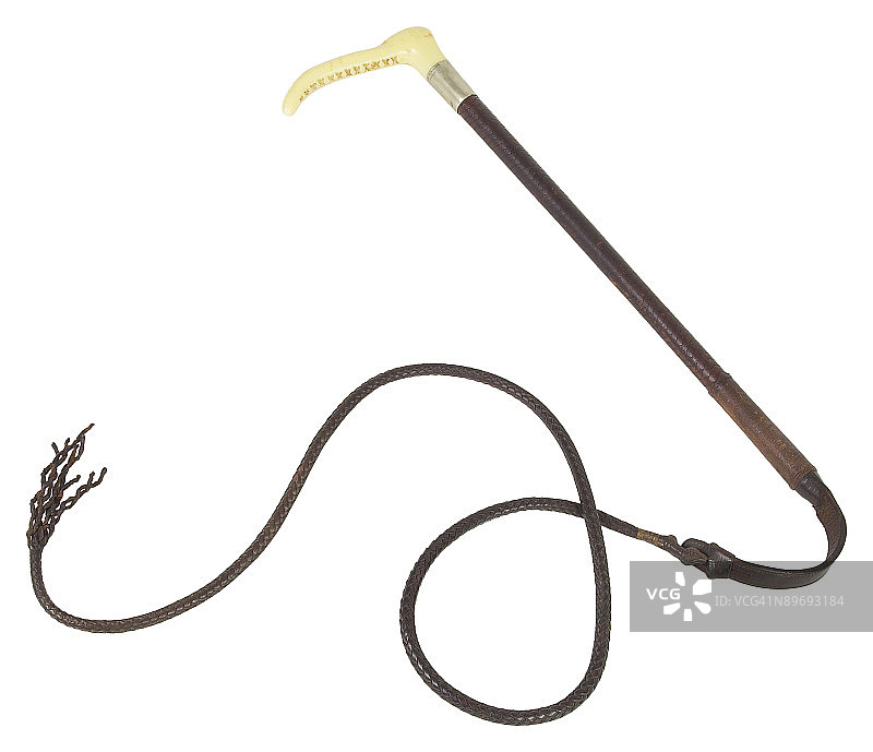 23599458图片素材