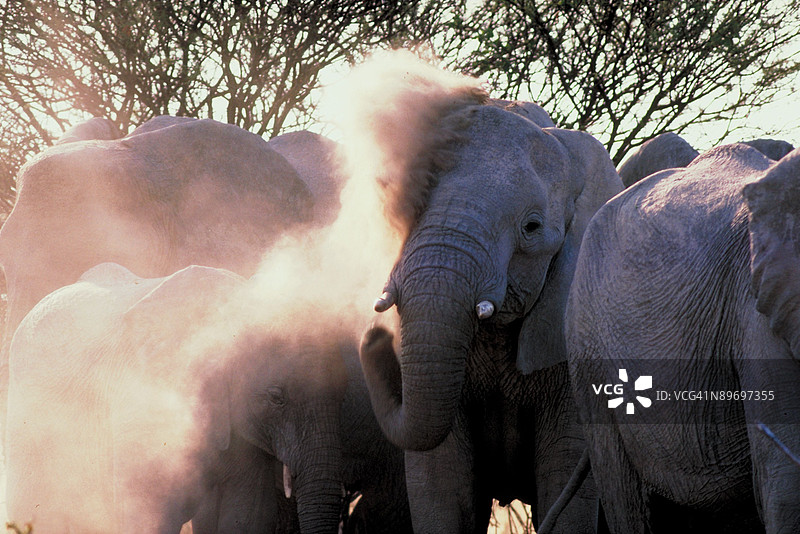 23892952图片素材