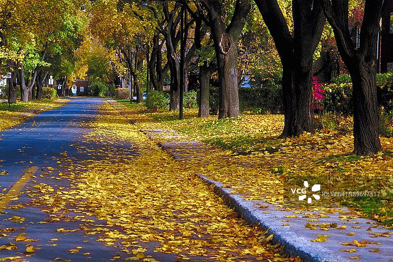 23894880图片素材