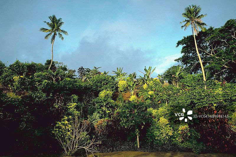 热带风光图片素材