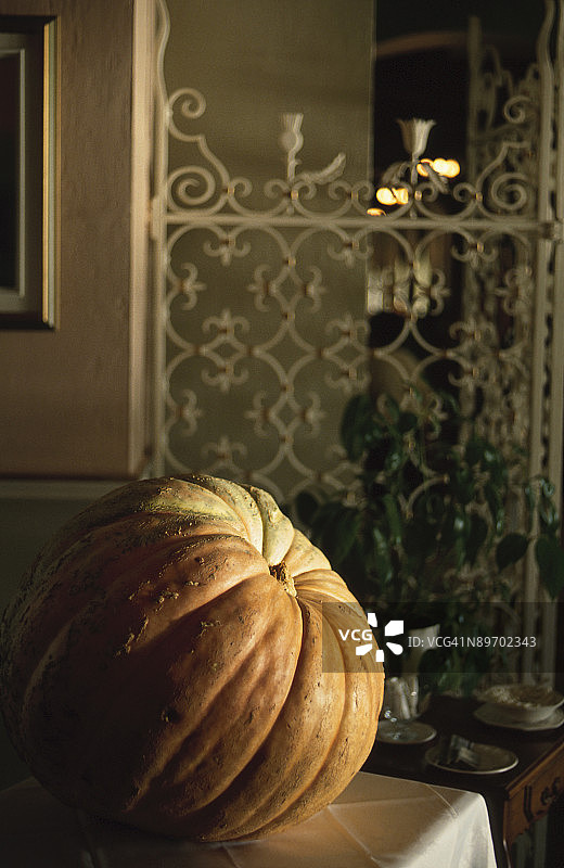 桌子上的南瓜图片素材