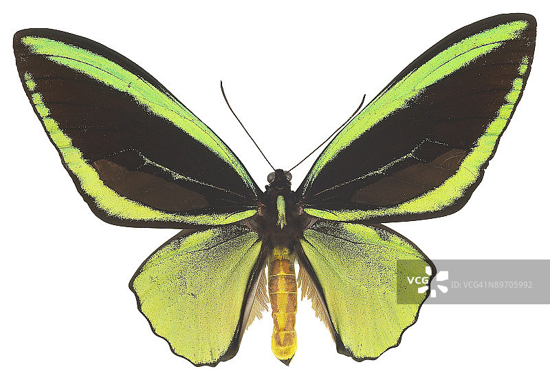 图片素材图片素材