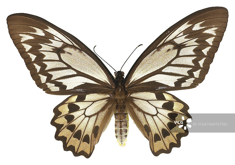 图片素材图片素材