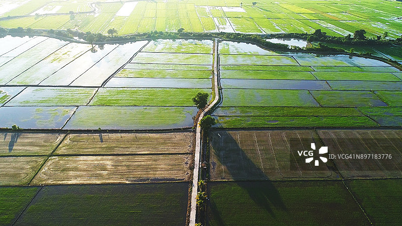 清晨阳光照耀下的广阔农田航拍图片素材