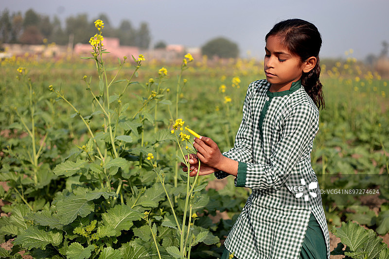在自然中用蜡笔画画的小女孩图片素材