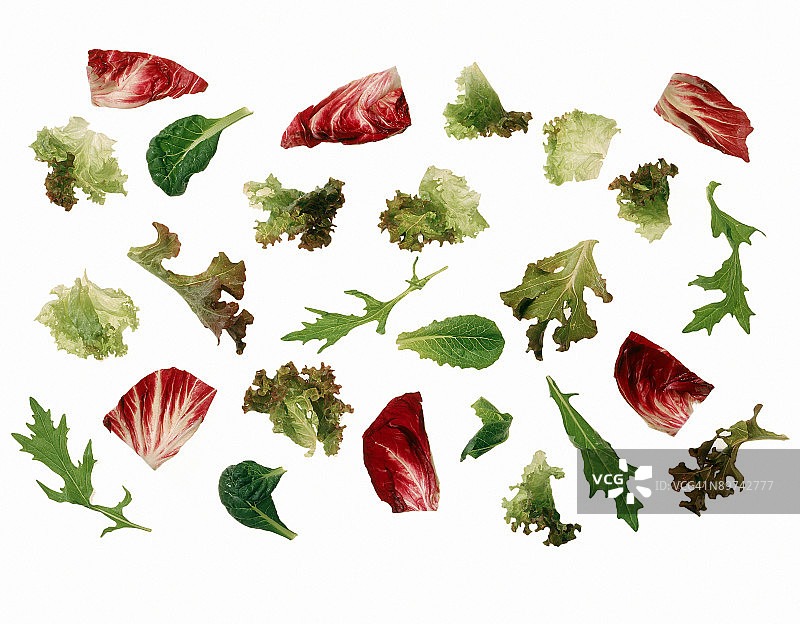 混合绿色蔬菜剪影图片素材