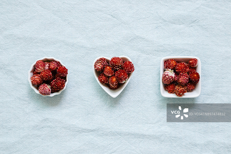 千日红花朵的碗状结构图片素材