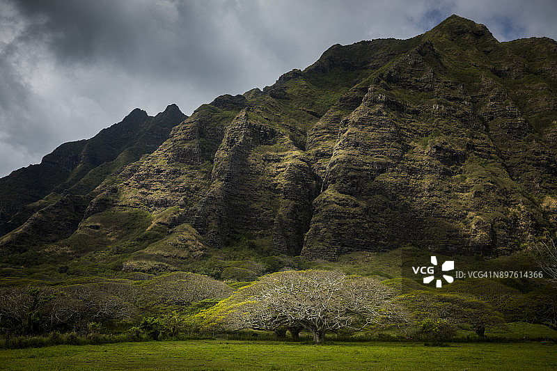 夏威夷欧胡岛古兰尼牧场山脉（《侏罗纪公园》拍摄地）图片素材