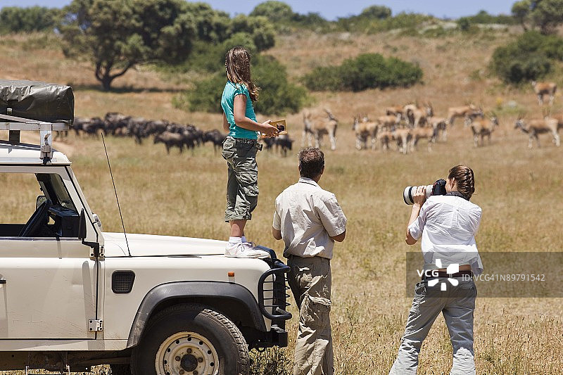 观赏野生动物的家庭图片素材