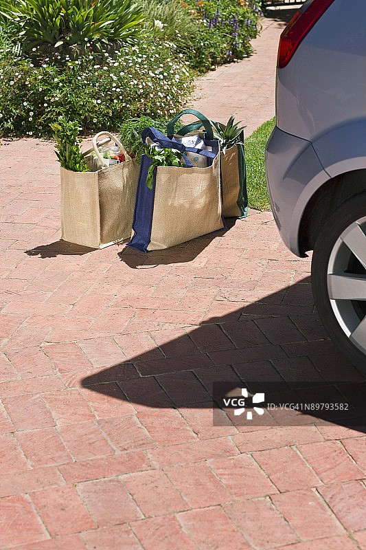 购物袋里的食品杂货图片素材