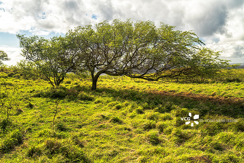 哈纳之路#2图片素材
