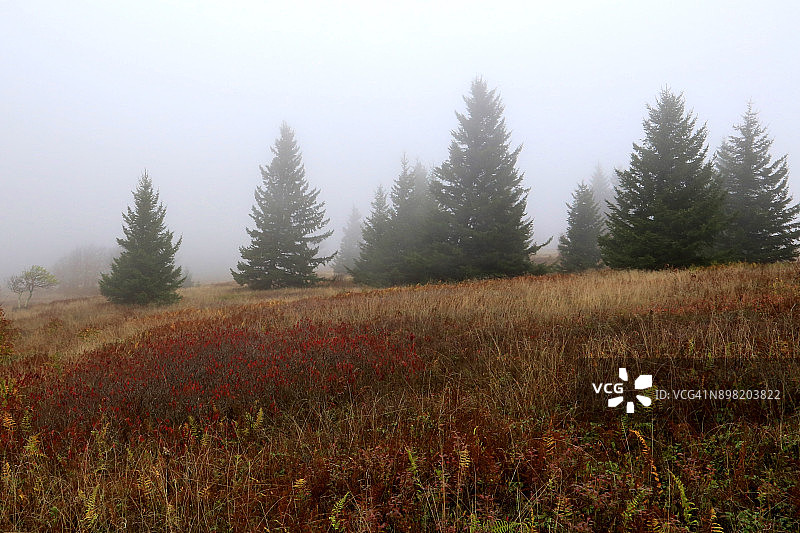 大雾reduce低荒野能见度图片素材