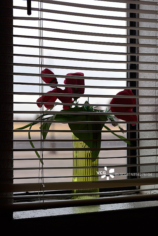 亚利桑那州霍尔布鲁克市窗帘后的鲜花装饰图片素材