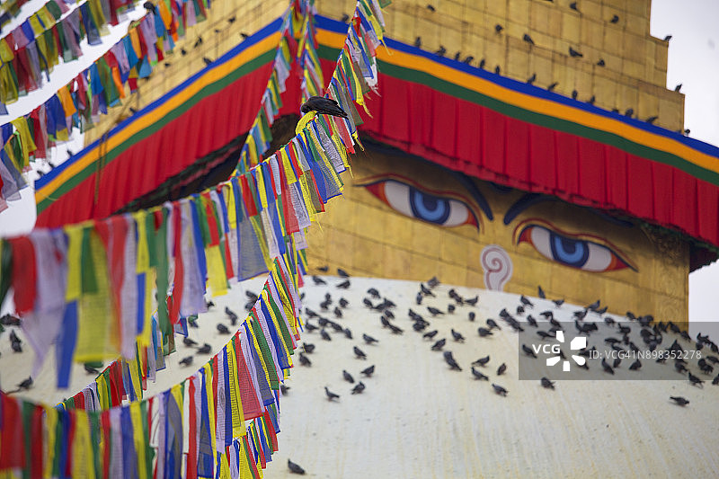 尼泊尔加德满都博大哈佛塔之眼图片素材