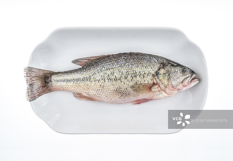 白色背景下盘中新鲜鲈鱼的高角度视图图片素材