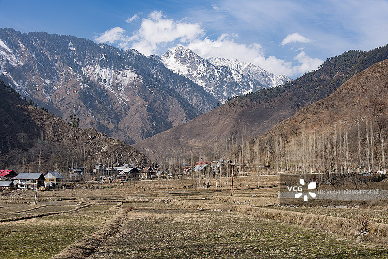 喜马拉雅山脉美丽森林天际线图片素材