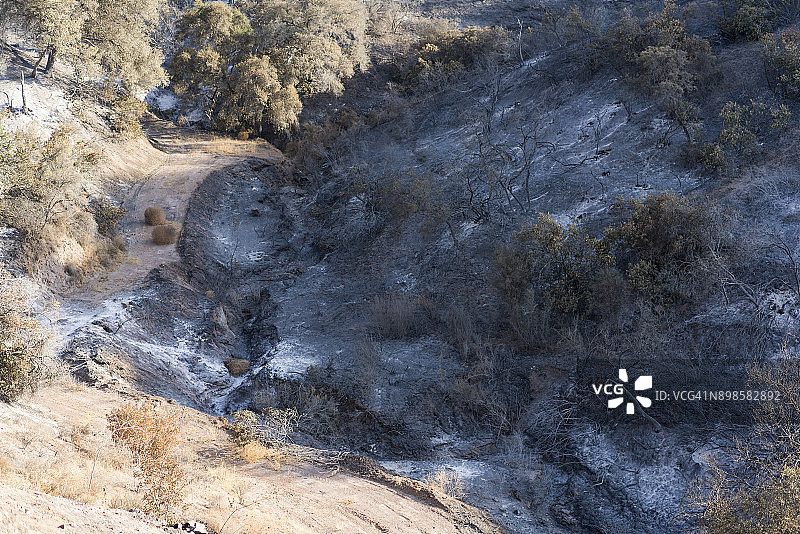 托马斯大火造成的破坏图片素材