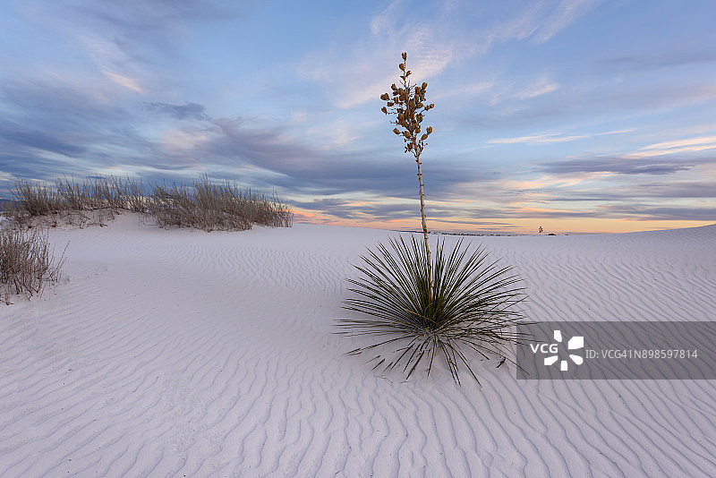 图拉罗萨白沙国家纪念地，新墨西哥州，美国图片素材