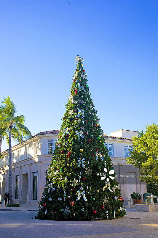 棕榈滩装饰精美的圣诞树图片素材
