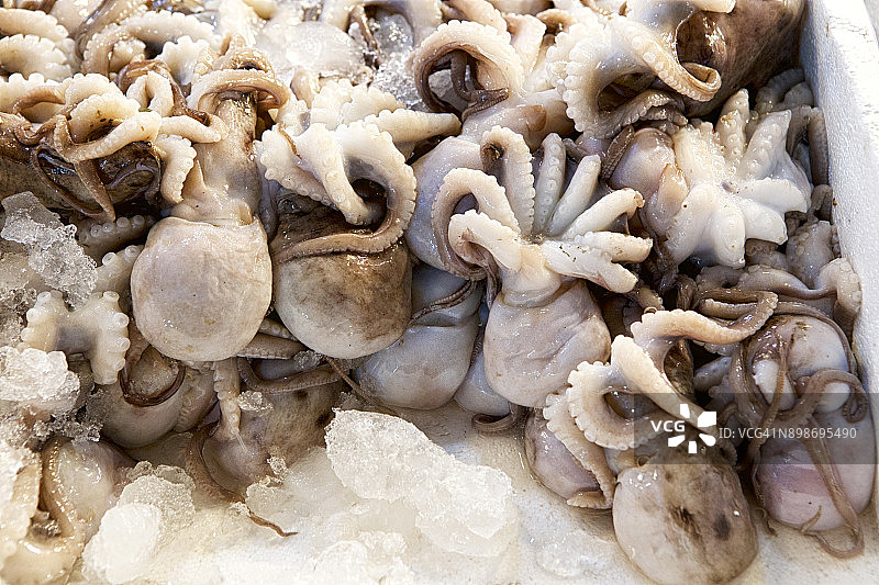 雅典中心市场的小章鱼图片素材