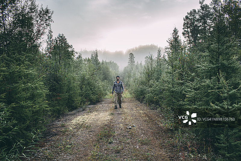男子在森林小路上行走图片素材