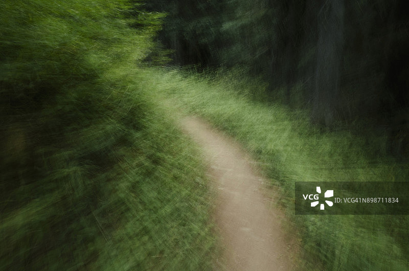 华盛顿州奥卡诺根县茂密森林徒步道模糊抽象背景图片素材