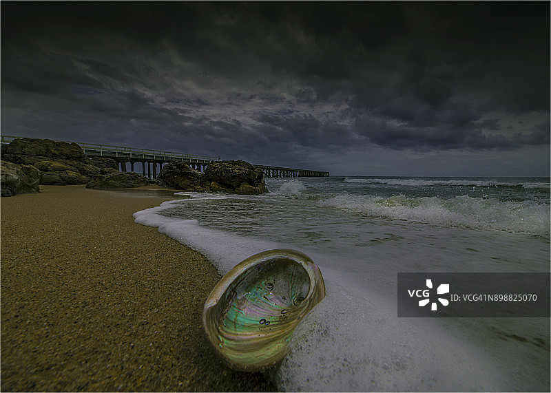 澳大利亚塔斯马尼亚国王岛，Naracoopa海滩的巨浪和鲍鱼壳图片素材