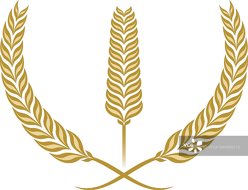 小麦图片素材