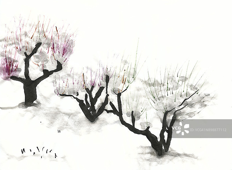 岐阜的冬季图片素材